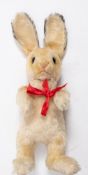 A Steiff white plush hare:, standing with stitched nose and mouth , glass eyes,