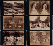 A group of twenty large format early 19th century stereoscope cards:, unknown photographer,