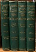 PRATT, Anne - The Flowering Plants, Grasses, Sedges, and Ferns, of Great Britain : 4 vols,