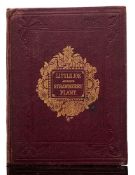 ANON - Little Joe and his Strawberry Plant: 2 colour plates, org. cloth, 8vo, 1867.