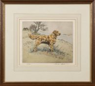 WILKINSON, Henry : coloured etching of a golden retriever, limited edition,
