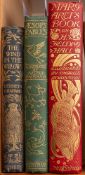 ROBINSON, Charles ( illustrator ) - Margaret's Book by H.