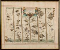MORDEN, Robert : Cornwall - hand coloured map, size : 430 x 360 mm, f & g, c1696.