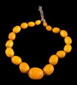 A graduated amber bead single-string necklace: with 19 individually knotted,