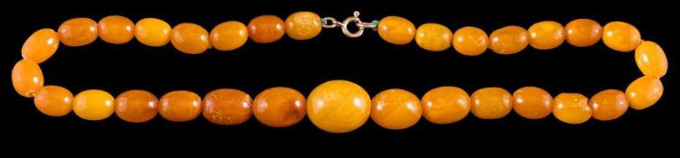 A graduated amber bead single-string necklace: with 31 oblong beads graduating from 11mm long to