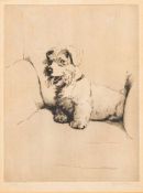 Cecil Aldin [1870-1935]- Terrier in a chair,:- etching,