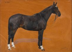 * Frances Mabel Hollams [1877-1963]- Bay horse, 'Sunday',:- signed and dated 1931 oil on board,