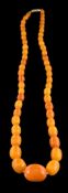 A graduated amber bead single-string necklace: with 52 oblong beads graduating on barrel clasp,