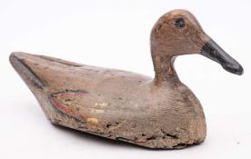 A 19th Century carved wood and polychrome decorated Gadwall decoy duck: overall length 31cm.