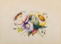 Thomas Holland [1795-1865]- Flower Studies, a group of six,:- Apple Blossom, Fuschia,