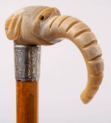 An Edwardian carved horn elephant head walking cane: inset glass eyes (one missing) on a Malacca