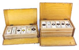 A collection of various late 19th /early 20th century microscope slides of micro fossils and
