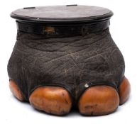 A late 19th/early 20th century taxidermy elephant's foot box and cover:,