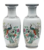 A pair of large Chinese famille rose 'Peacock' vases: of baluster form,