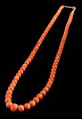 A coral bead, single-string necklace: the coral beads graduate from approximately 5mm diameter to 9.