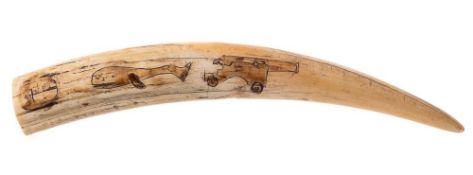 A scrimshaw tusk with incised decoration of a sperm whale, anchor and cannon:, 36cm long.