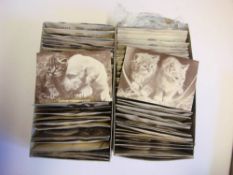 Sandle Brothers Ltd , two stock boxes containing TPC/squeaker postcards of cats and dogs.