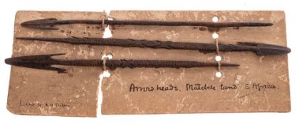 Three African metal arrow heads (Matabele Land) South Africa: mounted on card, each 18.5cm. long.