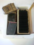A collection of early 20th century glass plate negatives, mostly family portraits,