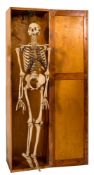 A full medical female skeleton by Adam, Rouilly & Co,