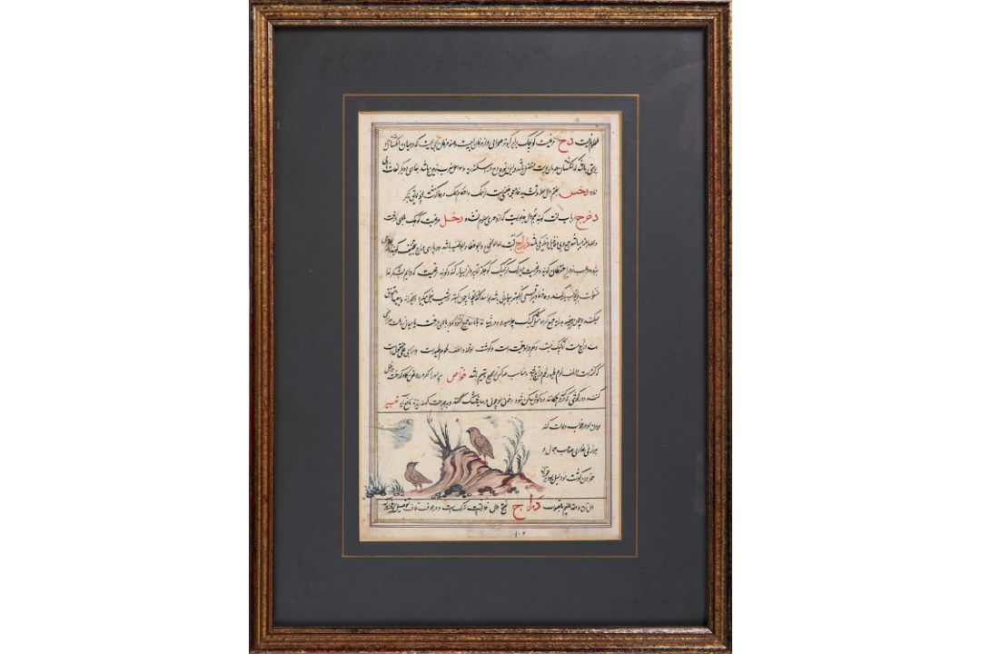 Ornithological drawings on a manuscript leaf [Safavid Persia, c. 1700]