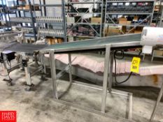 2 Section Belt Conveyor 18