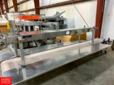 BMI S/S Bi Level Product Conveyor, Bottom 139