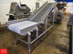 Leblanc Stainless Steel Plastic Belt Incline Conveyor, 20