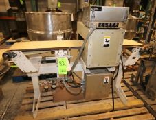 Icore Metal Detector System, with 14