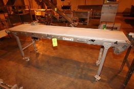 2-Straight Sections of Conveyor, 1-Aprox. 96