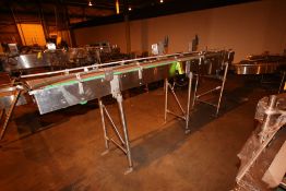 S/S Straight Section of Conveyor, Aprox. 12' L x 12