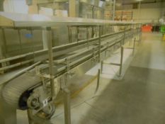 Accumulation Conveyor, All S/S, 18