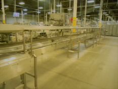 Accumulation Conveyor, All S/S, 18