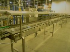BULK BID FOR LOTS 18, 19, 20 & 21 (4) Accumulation Conveyors (Subject to piecemeal bidding