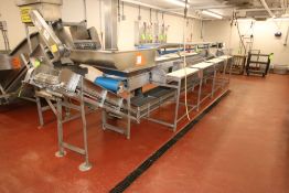 S/S Triple Conveyor Fish Filleting Station, with Top Filet Conveyor, Aprox. 220
