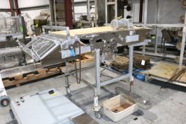 Section of S/S Portable Conveyor, with S/S Mesh Discharge Section, Overall Dims.: Aprox. 86