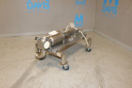 S/S Piston Pump, with Aprox. 3