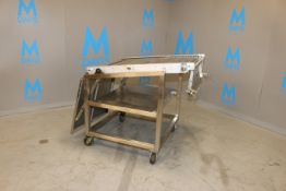 S/S Incline Conveyor, with S/S Strip Belt, Aprox. 33