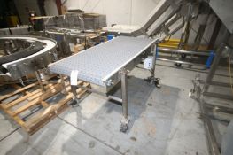 Straight Section of Conveyor, Overall Dimenisons: Aprox. 72