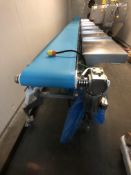 DORNER HYGENIC CONVEYOR SYSTEM MODEL 820-394/A, MOUNTED ON CASTERS, SEEMLESS BELT, S/S SIDE