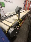 S/S CONVEYOR, S/S WASHDOWN MOTOR, LENZE AC TECH VFD, APPX CONVEYOR DIM. L257'' X W18-1/2''