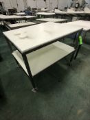 S/S TABLE WITH UMHW CUTTING BOARD TOP AND BOTTOM SHELF, APPX DIM. LWH'' 48 X 36 X 32