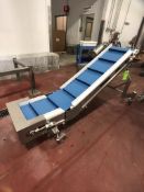 PORTABLE S/S OUTFEED CLEATED CONVEYOR / PRODUCT ELEVATOR, APPROX. 18