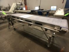 S/S CONVEYOR, S/S WASHDOWN MOTOR 1 HP,1720 RPM, LENZE TECH AC VFD, APPX. DIM L110'' X W23-1/2''