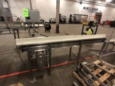 S/S CONVEYOR, APPROX. 15