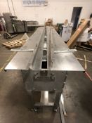 S/S INFEED TIMING / SPACING BELT FOR WRAPPING MACHINE