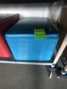 APPX (40) BLUE PLASTIC FOOD TRAY, APPX L24'' X W17''