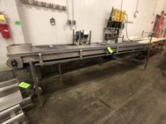 S/S CONVEYOR, S/S WASHDOWN MOTOR, APPX CONVEYOR DIM. L162'' X W20''