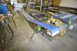 Straight Section of S/S Incline Conveyor, Overall Length: Aprox. 10' L, with Aprox. 10