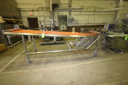 Straight Section of Conveyor, Aprox. 12' L x 36